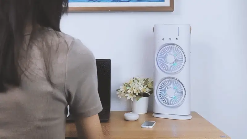 Portable Mist Fan